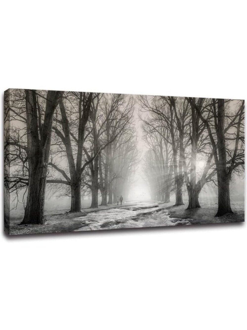 Modern Black and White Forest Canvas Prints - Stylish Wall Art for Home Decor